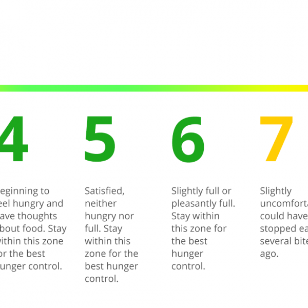 hunger scale