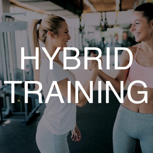 Hybrid Training